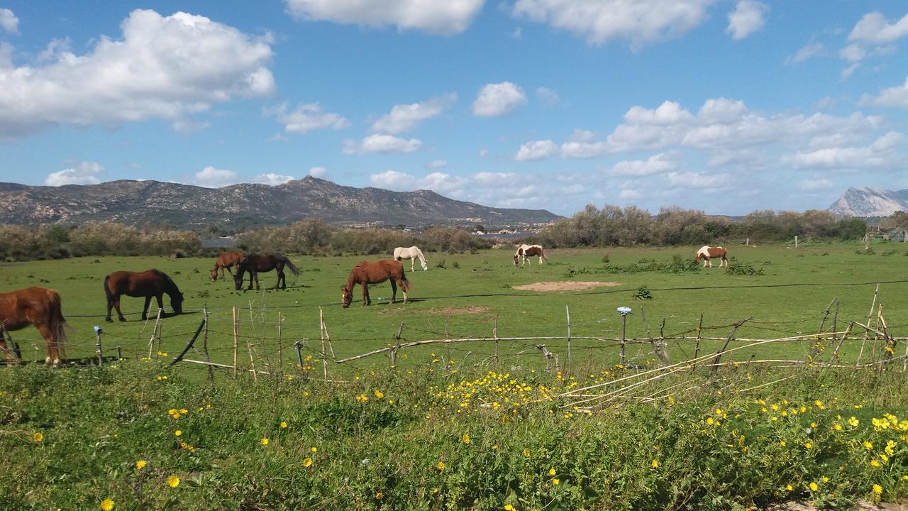 Settimo Cielo Bed and Breakfast San Teodoro  Exterior foto