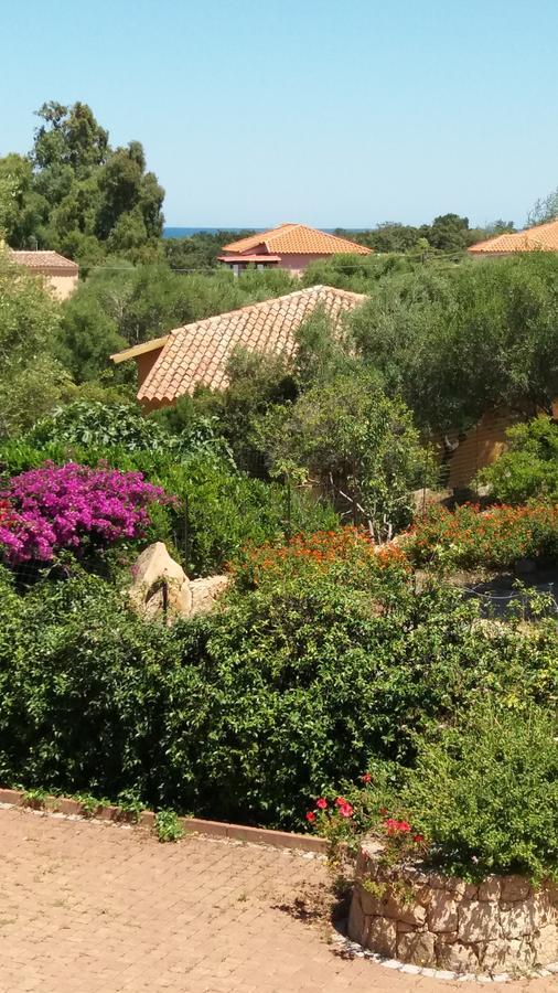 Settimo Cielo Bed and Breakfast San Teodoro  Exterior foto